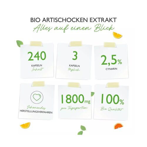 Vit4ever Bio Artischocken Extrakt - 2,5% Cynarin 240 Kapseln